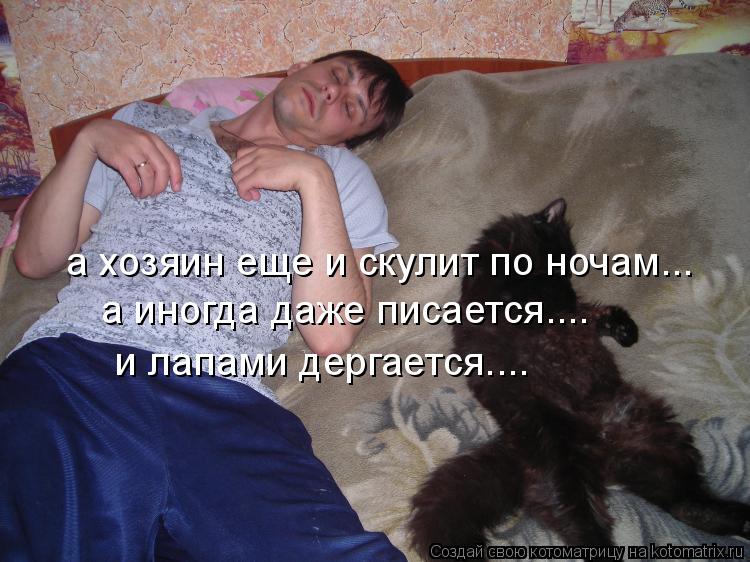 а хозяин еще и скулит по ночам... а иногда даже писается.... и лапами дергается....... Котоматрица: а хозяин еще и скулит по ночам... а иногда даже писается.... и лапами дергается....