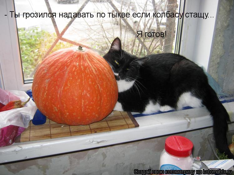 - Ты грозился надавать по тыкве если колбасу стащу... Я готов!... Котоматрица: - Ты грозился надавать по тыкве если колбасу стащу... Я готов!