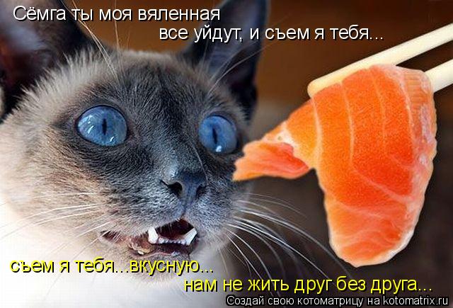 Сёмга ты моя вяленная все уйдут, и съем я тебя... съем я тебя...вкусную... нам не жить друг без друга... Котоматрица: Сёмга ты моя вяленная все уйдут, и съем я тебя... съем я тебя...вкусную... нам не жить друг без друга...