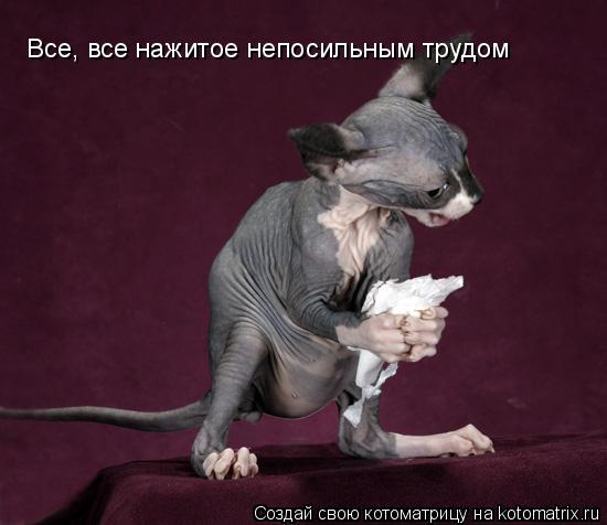 Все, все нажитое непосильным трудом... Котоматрица: Все, все нажитое непосильным трудом