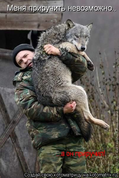 Меня приручить невозможно.. ...а он приручил!... Котоматрица: Меня приручить невозможно.. ...а он приручил!