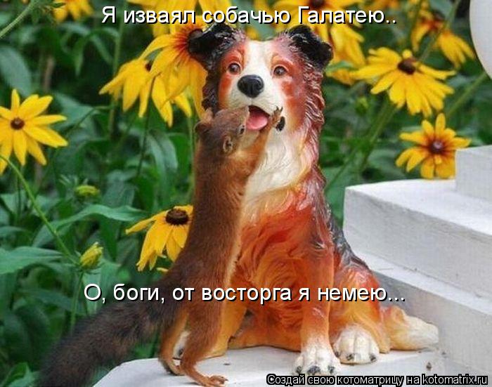 Я изваял собачью Галатею.. О, боги, от восторга я немею...... Котоматрица: Я изваял собачью Галатею.. О, боги, от восторга я немею...