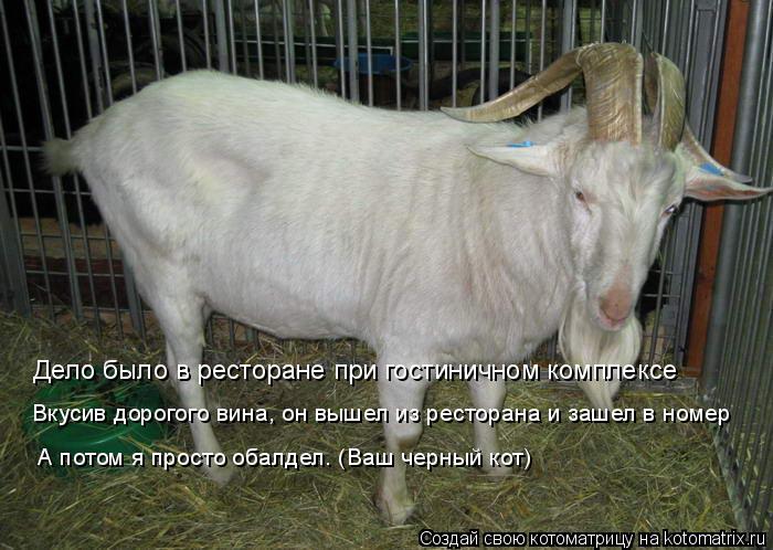 Котоматрица: Дело было в ресторане при гостиничном комплексе Вкусив дорогого вина, он вышел из ресторана и зашел в номер А потом я просто обалдел. (Ваш че