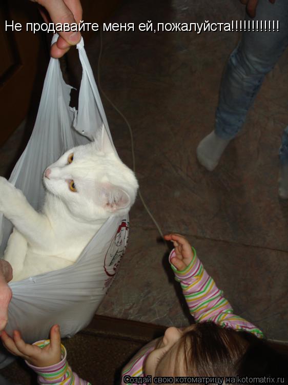 Не продавайте меня ей,пожалуйста!!!!!!!!!!!!... Котоматрица: Не продавайте меня ей,пожалуйста!!!!!!!!!!!!
