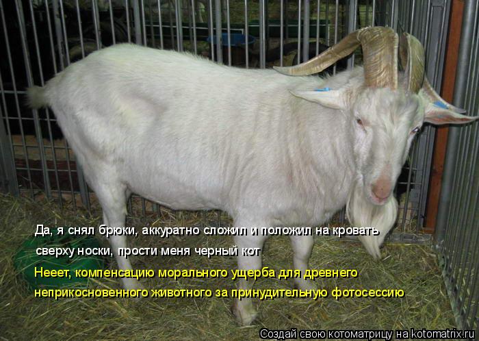 Да, я снял брюки, аккуратно сложил и положил на кровать сверху носки, прости меня черный кот Нееет, к... Котоматрица: Да, я снял брюки, аккуратно сложил и положил на кровать сверху носки, прости меня черный кот Нееет, компенсацию морального ущерба для древне