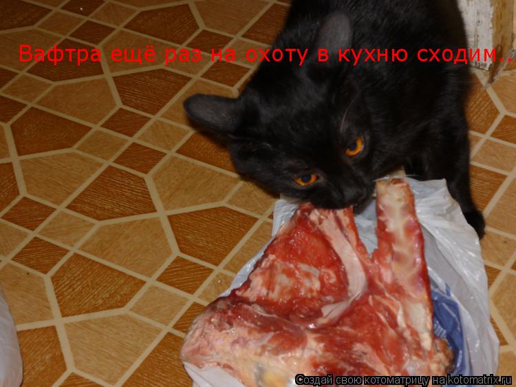 Вафтра ещё раз на охоту в кухню сходим..... Котоматрица: Вафтра ещё раз на охоту в кухню сходим..
