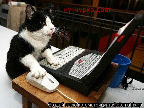 ну мурка даёт... Котоматрица: ну мурка даёт