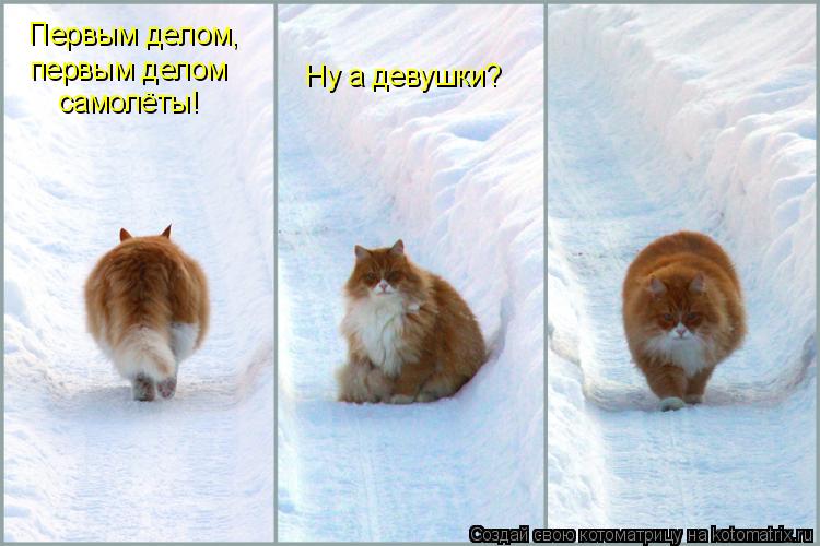 Первым делом, первым делом самолёты! Ну а девушки?... Котоматрица: Первым делом, первым делом самолёты! Ну а девушки?