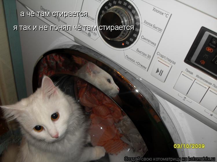 а чё там стирается я так и не понял чё там стирается... Котоматрица: а чё там стирается я так и не понял чё там стирается