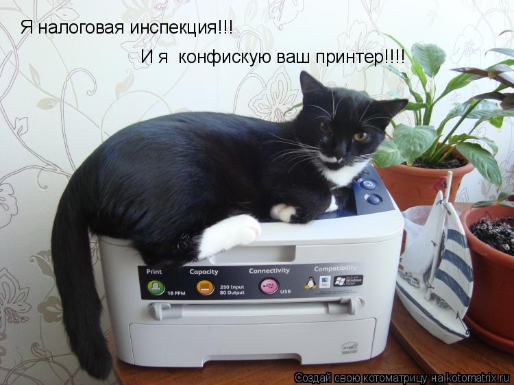 Я налоговая инспекция!!! И я конфискую ваш принтер!!!!... Котоматрица: Я налоговая инспекция!!! И я конфискую ваш принтер!!!!