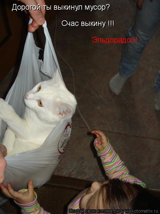 Дорогой ты выкинул мусор? Счас выкину !!! Эльдорадо!!!... Котоматрица: Дорогой ты выкинул мусор? Счас выкину !!! Эльдорадо!!!