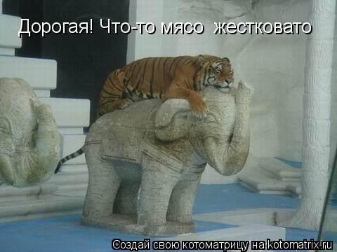 Котоматрица: Дорогая! Что-то мясо  жестковато