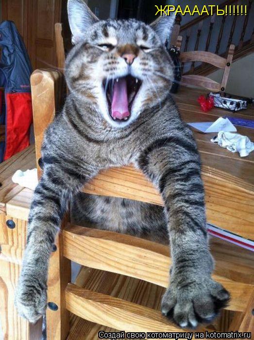 ЖРААААТЬ!!!!!!... Котоматрица: ЖРААААТЬ!!!!!!
