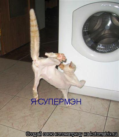 Котоматрица: Я СУПЕРМЭН