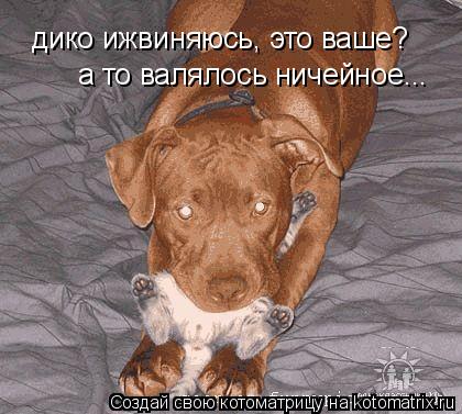 дико ижвиняюсь, это ваше? а то валялось ничейное...... Котоматрица: дико ижвиняюсь, это ваше? а то валялось ничейное...