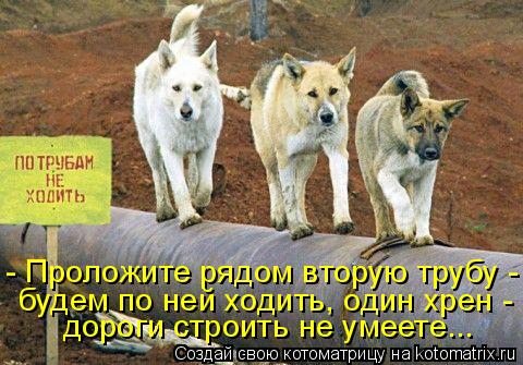 Котоматрица: - Проложите рядом вторую трубу -  будем по ней ходить, один хрен -  дороги строить не умеете...