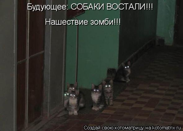Котоматрица: Будующее: СОБАКИ ВОСТАЛИ!!! Нашествие зомби!!!