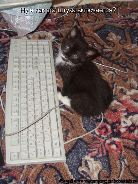 Ну и как эта штука включается?... Котоматрица: Ну и как эта штука включается?