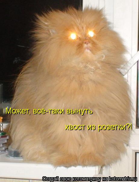 Может, всё-таки вынуть хвост из розетки?!... Котоматрица: Может, всё-таки вынуть хвост из розетки?!