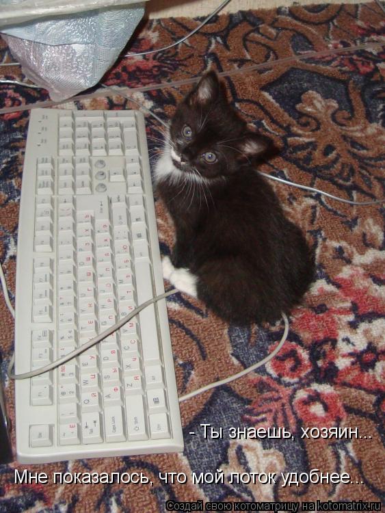 - Ты знаешь, хозяин... Мне показалось, что мой лоток удобнее...... Котоматрица: - Ты знаешь, хозяин... Мне показалось, что мой лоток удобнее...