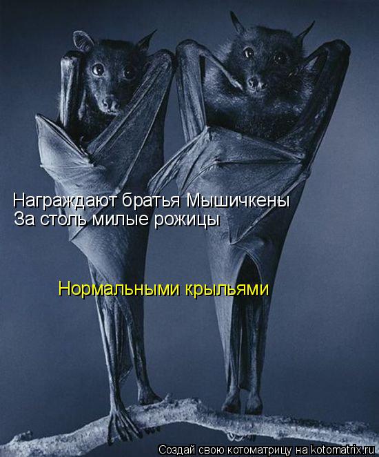 Награждают братья Мышичкены За столь милые рожицы Нормальными крыльями... Котоматрица: Награждают братья Мышичкены За столь милые рожицы Нормальными крыльями