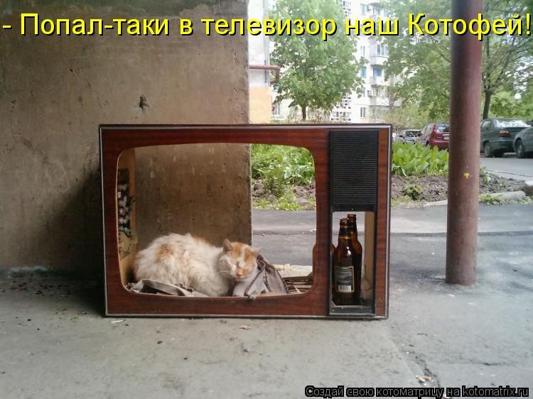 - Попал-таки в телевизор наш Котофей!... Котоматрица: - Попал-таки в телевизор наш Котофей!