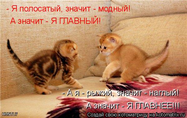 - Я полосатый, значит - модный! А значит - Я ГЛАВНЫЙ! - А я - рыжий, значит - наглый! А значит - Я ГЛ... Котоматрица: - Я полосатый, значит - модный! А значит - Я ГЛАВНЫЙ! - А я - рыжий, значит - наглый! А значит - Я ГЛАВНЕЕ!!!