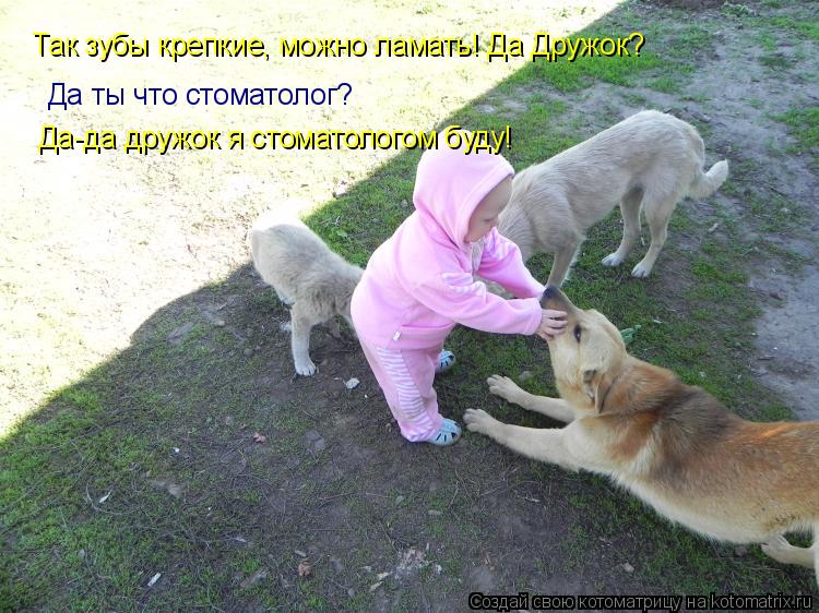 Так зубы крепкие, можно ламать! Да Дружок? Да-да дружок я стоматологом буду! Да ты что стоматолог?... Котоматрица: Так зубы крепкие, можно ламать! Да Дружок? Да-да дружок я стоматологом буду! Да ты что стоматолог?