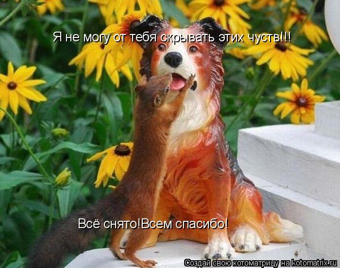 Я не могу от тебя скрывать этих чуств!!! Всё снято!Всем спасибо!... Котоматрица: Я не могу от тебя скрывать этих чуств!!! Всё снято!Всем спасибо!