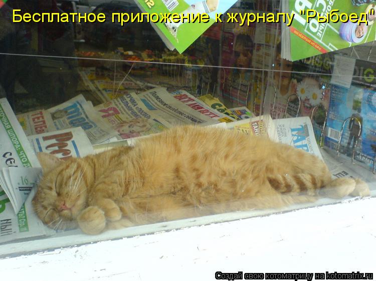 Бесплатное приложение к журналу "Рыбоед"... Котоматрица: Бесплатное приложение к журналу "Рыбоед"