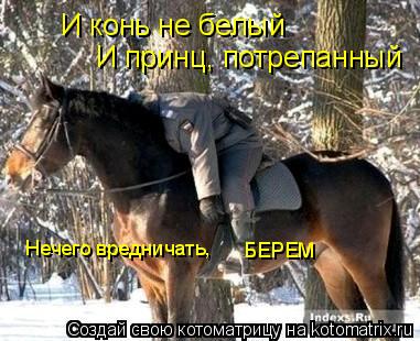 И конь не белый И принц, потрепанный Нечего вредничать, БЕРЕМ... Котоматрица: И конь не белый И принц, потрепанный Нечего вредничать, БЕРЕМ