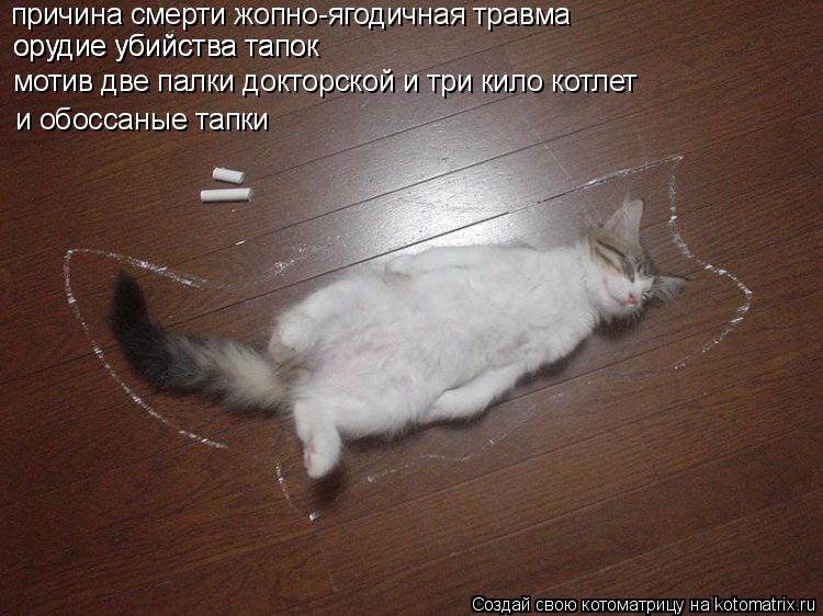 причина смерти жопно-ягодичная травма орудие убийства тапок орудие убийства тапок мотив две палки д... Котоматрица: причина смерти жопно-ягодичная травма орудие убийства тапок орудие убийства тапок мотив две палки докторской и три кило котлет и обоссан