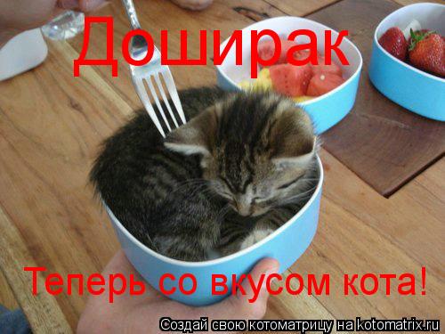 Доширак Теперь со вкусом кота!... Котоматрица: Доширак Теперь со вкусом кота!