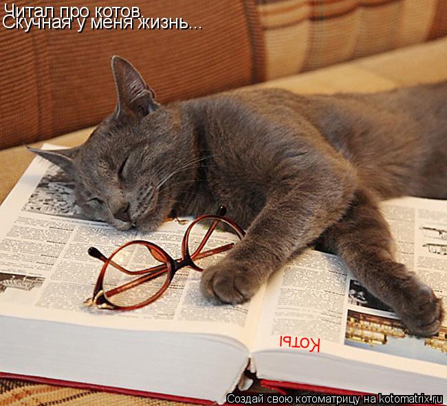 Читал про котов. Скучная у меня жизнь... Коты... Котоматрица: Читал про котов. Скучная у меня жизнь... Коты