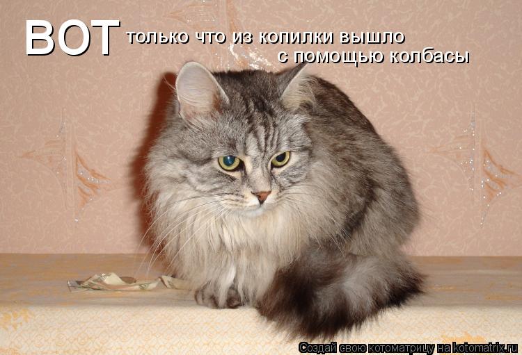 вот только что из копилки вышло с помощью колбасы... Котоматрица: вот только что из копилки вышло с помощью колбасы