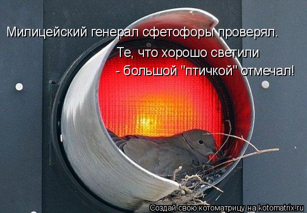 Милицейский генерал сфетофоры проверял. Те, что хорошо светили - большой "птичкой" отмечал!... Котоматрица: Милицейский генерал сфетофоры проверял. Те, что хорошо светили - большой "птичкой" отмечал!