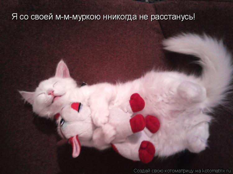 Я со своей м-м-муркою нникогда не расстанусь!... Котоматрица: Я со своей м-м-муркою нникогда не расстанусь!