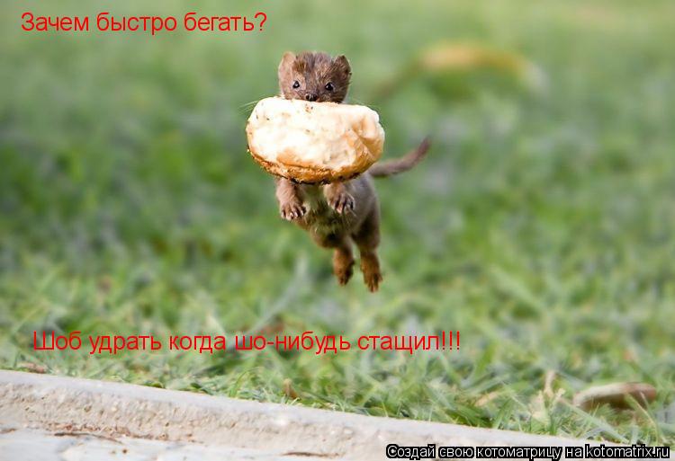 Котоматрица: Зачем быстро бегать? Шоб удрать когда шо-нибудь стащил!!!