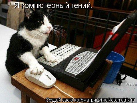 Я компютерный гений.... Котоматрица: Я компютерный гений.