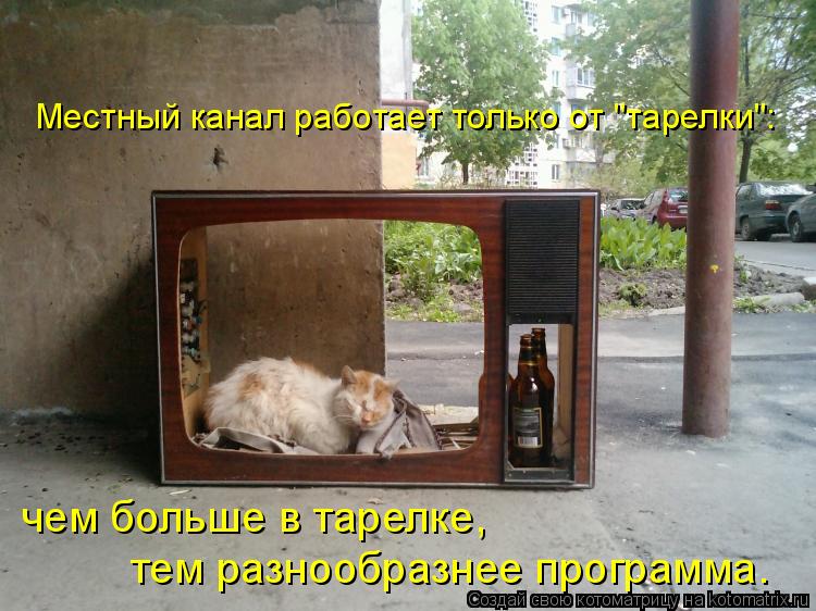 Местный канал работает только от "тарелки": чем больше в тарелке, тем разнообразнее программа.... Котоматрица: Местный канал работает только от "тарелки": чем больше в тарелке, тем разнообразнее программа.