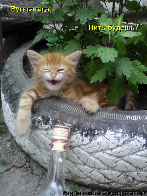 Котоматрица: Бугагагага Пить будешь?