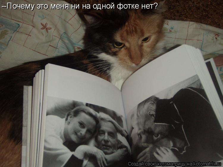 --Почему это меня ни на одной фотке нет?... Котоматрица: --Почему это меня ни на одной фотке нет?