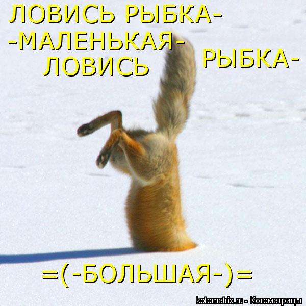 ЛОВИСЬ РЫБКА- -МАЛЕНЬКАЯ- ЛОВИСЬ РЫБКА- =(-БОЛЬШАЯ-)=... Котоматрица: ЛОВИСЬ РЫБКА- -МАЛЕНЬКАЯ- ЛОВИСЬ РЫБКА- =(-БОЛЬШАЯ-)=