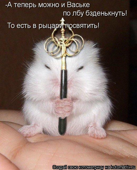 -А теперь можно и Ваське по лбу бзденькнуть! То есть в рыцари посвятить!... Котоматрица: -А теперь можно и Ваське по лбу бзденькнуть! То есть в рыцари посвятить!