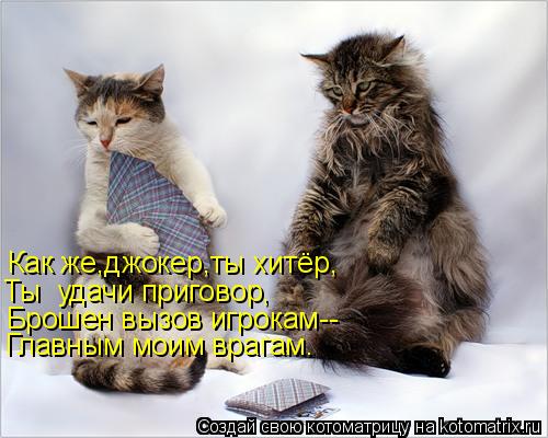Как же,джокер,ты хитёр, Ты удачи приговор, Брошен вызов игрокам-- Главным моим врагам.... Котоматрица: Как же,джокер,ты хитёр, Ты удачи приговор, Брошен вызов игрокам-- Главным моим врагам.