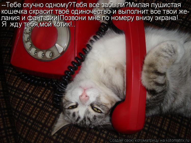 --Тебе скучно одному?Тебя все забыли?Милая пушистая кошечка скрасит твоё одиночество и выполнит все ... Котоматрица: --Тебе скучно одному?Тебя все забыли?Милая пушистая кошечка скрасит твоё одиночество и выполнит все твои же- лания и фантазии!Позвони мне п