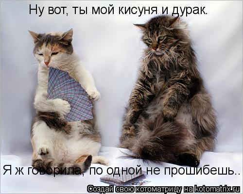 Ну вот, ты мой кисуня и дурак. Я ж говорила, по одной не прошибешь..... Котоматрица: Ну вот, ты мой кисуня и дурак. Я ж говорила, по одной не прошибешь..