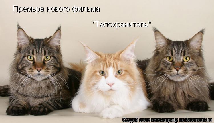 Премьра нового фильма "Телохранитель"... Котоматрица: Премьра нового фильма "Телохранитель"