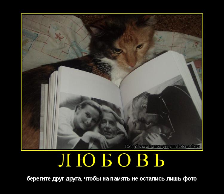 Котоматрица: любовь берегите друг друга, чтобы на память не остались лишь фото