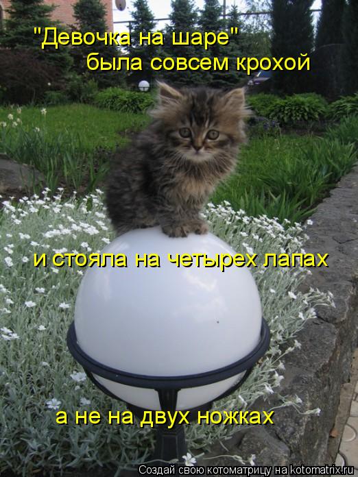 "Девочка на шаре" была совсем крохой и стояла на четырех лапах а не на двух ножках... Котоматрица: "Девочка на шаре" была совсем крохой и стояла на четырех лапах а не на двух ножках